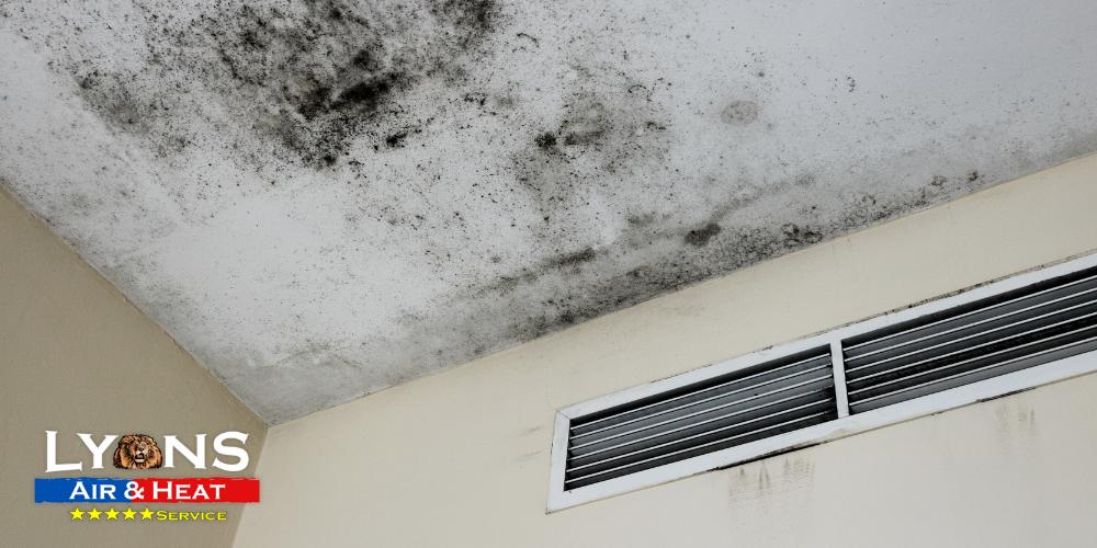 Mold in Your AC
